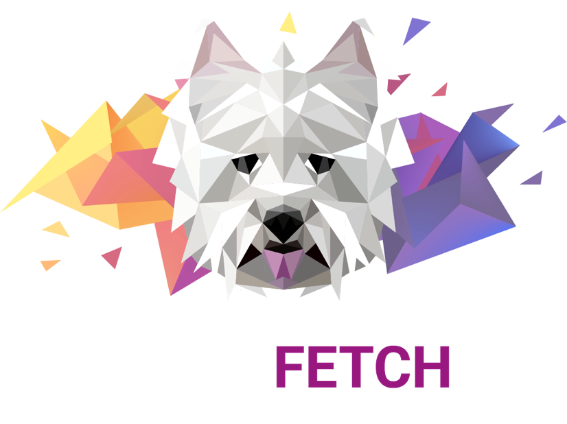 Hugo Fetch