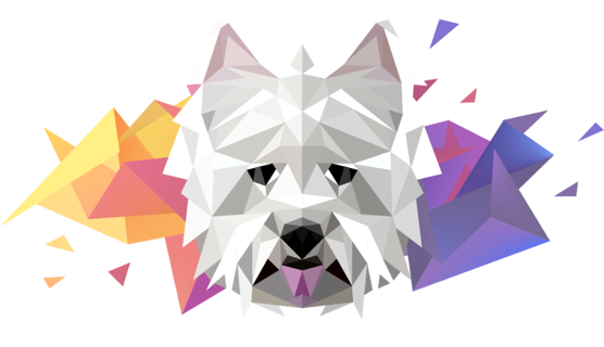 Hugo Fetch